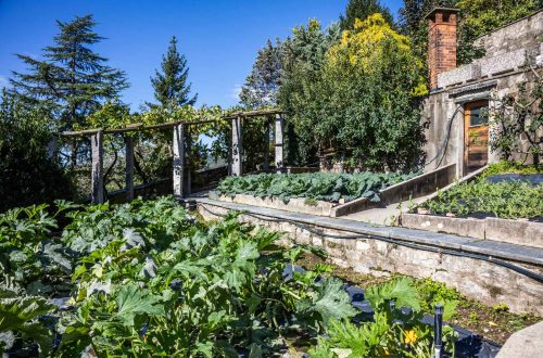 Lussuosa villa sulle colline Svizzere – Mendrisio